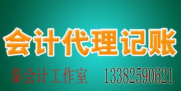 代理记账 纳税申报 税务咨询 财务审计